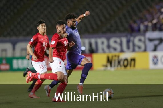 了解WilliamHill